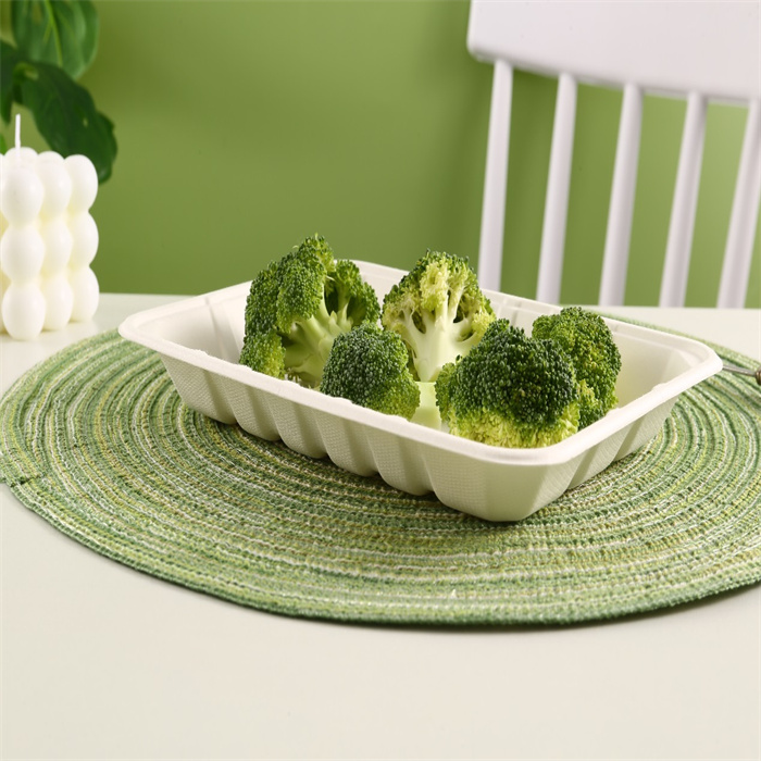 biodegradable / Sugarcane plate from disposablesInc.com. The best import service in China. Import your disposable items and products from us. DisposablesInc.com. The best import service in China. Import your disposable items and products from us.